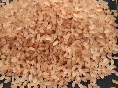 PALAKKADAN MATTA RICE